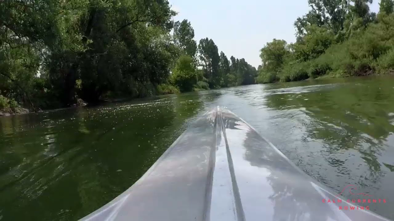 Real-Time River Rowing | Calm Water, Gentle Wind | No Talking, No Music (Alt-Rhein, Germany)