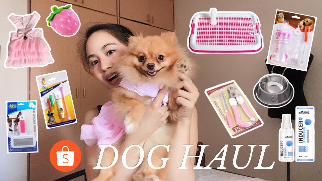 DOG ESSENTIALS FROM SHOPEE | Myka Ignacio