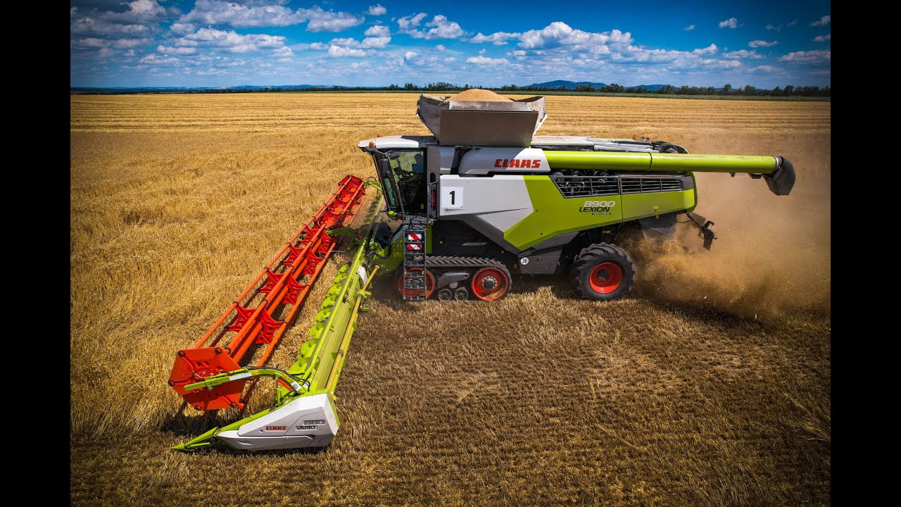 CLAAS LEXION 8900 + 780TT - HARVEST 2022 - Wheat (Jiřice u Miroslavi)