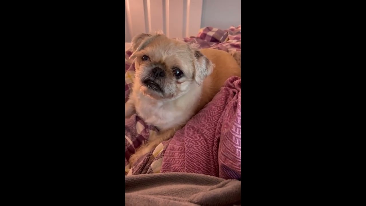 Winston
