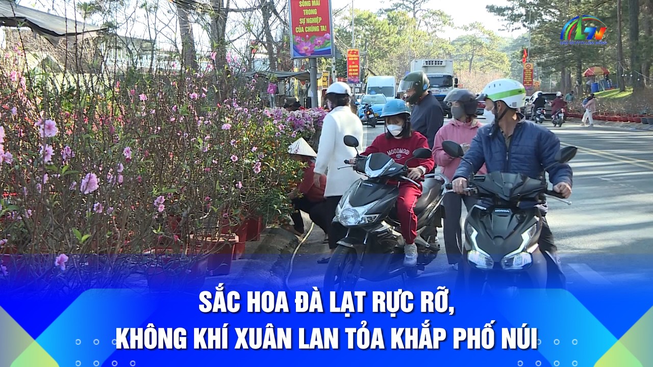 Sắc hoa Đà Lạt rực rỡ, không khí xuân lan tỏa khắp phố núi | Lâm Đồng 365