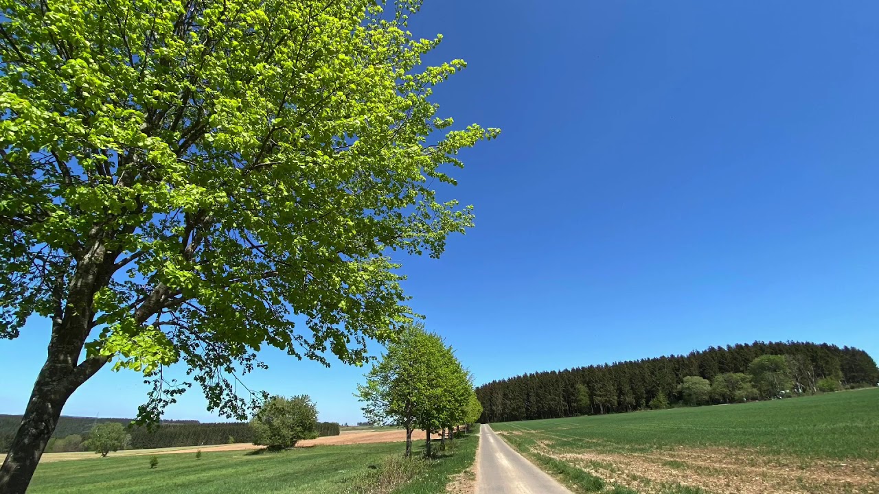 Radtour im Hochwald - Reinsfeld-Hermeskeil-Gusenburg-Reinsfeld🚵‍♀️