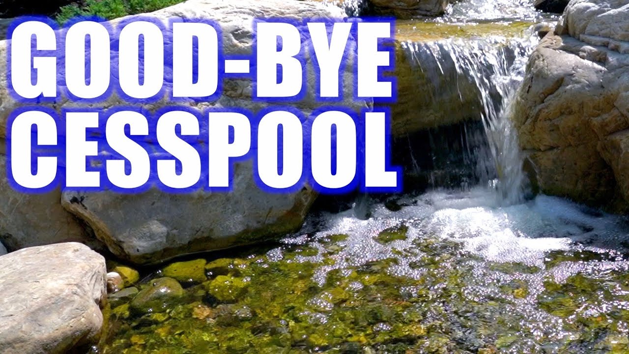 From Cesspool to Waterfall: Greg Wittstock, The Pond Guy