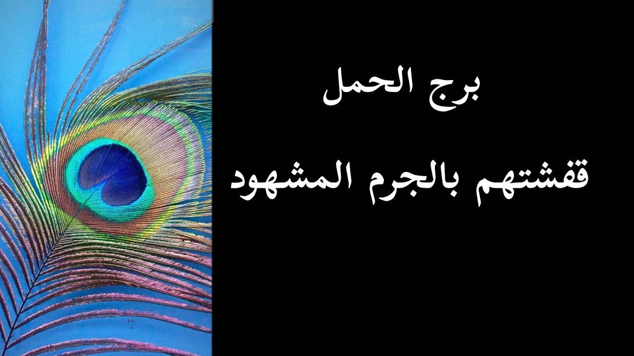 برج الحمل* علاقة سريعة / 5مارس ل15الشهر2024
