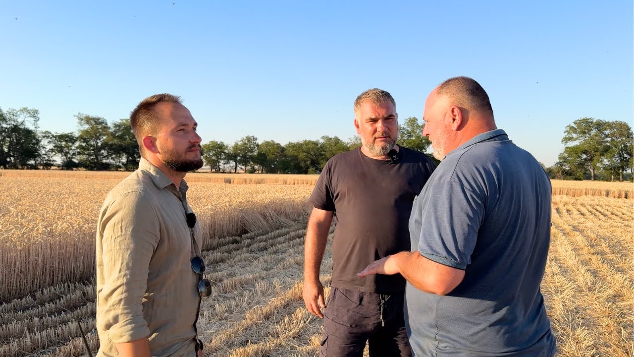 #245 🌾 Жнива пшениці 2025. Бессарабія. Розмови навколо сівозміни. Досвід з покривними культурами