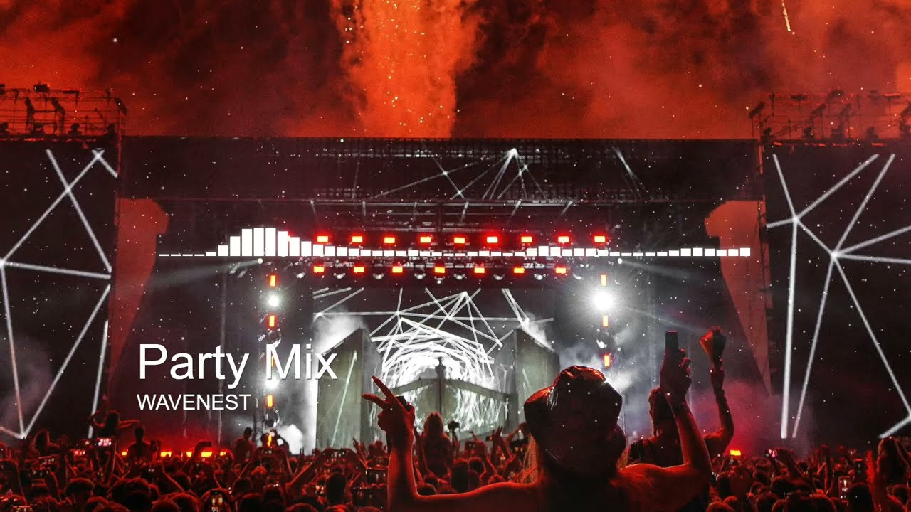 This Party EDM Mix Will Make You Lose Control