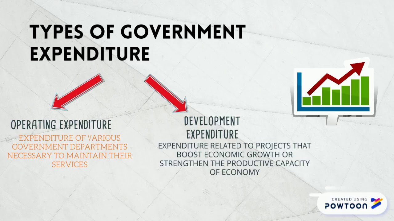 Public Finance