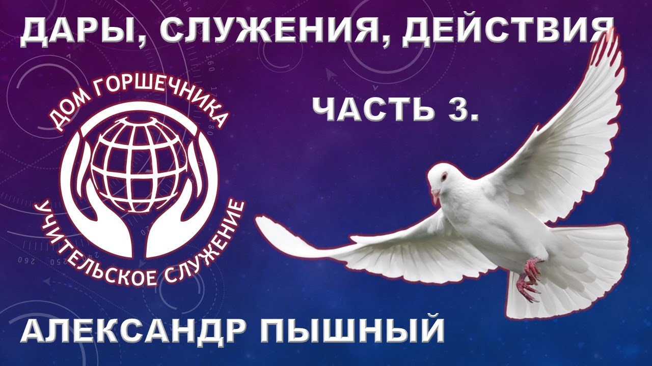 Александр Пышный - Дары служения действия. Часть 3. Раздаватель.