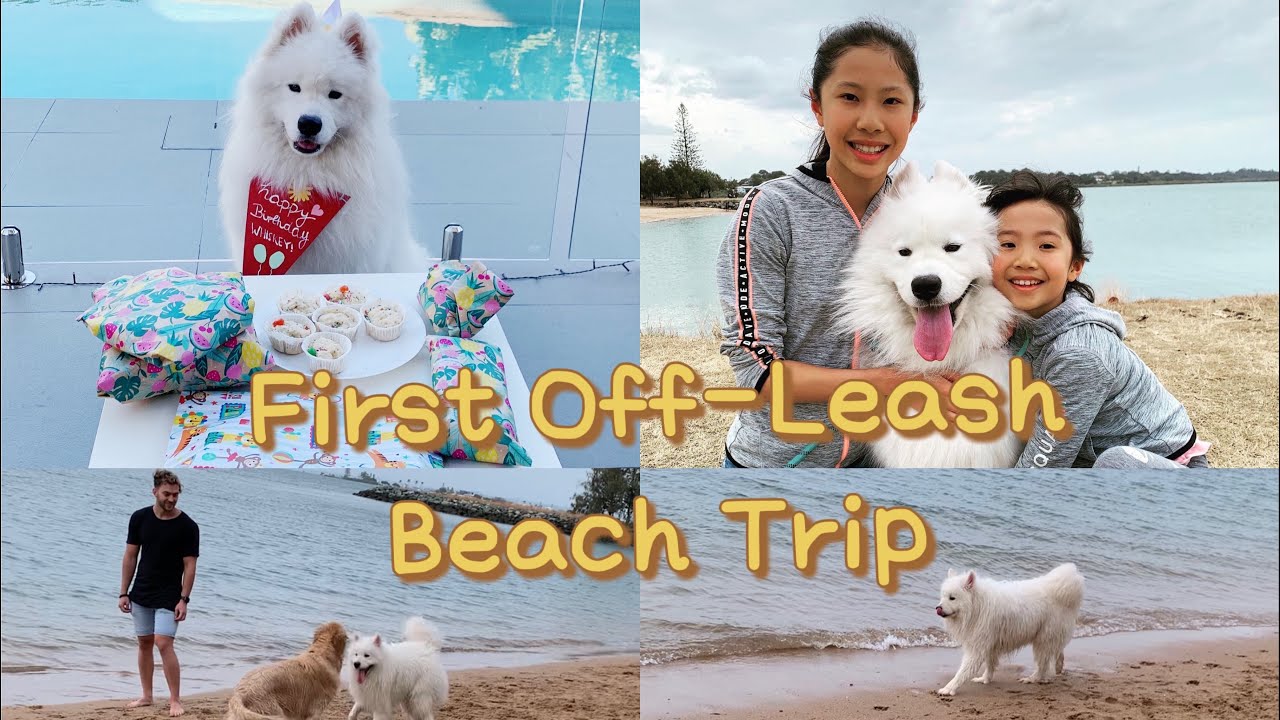 First off leash beach trip for my Birthday!!