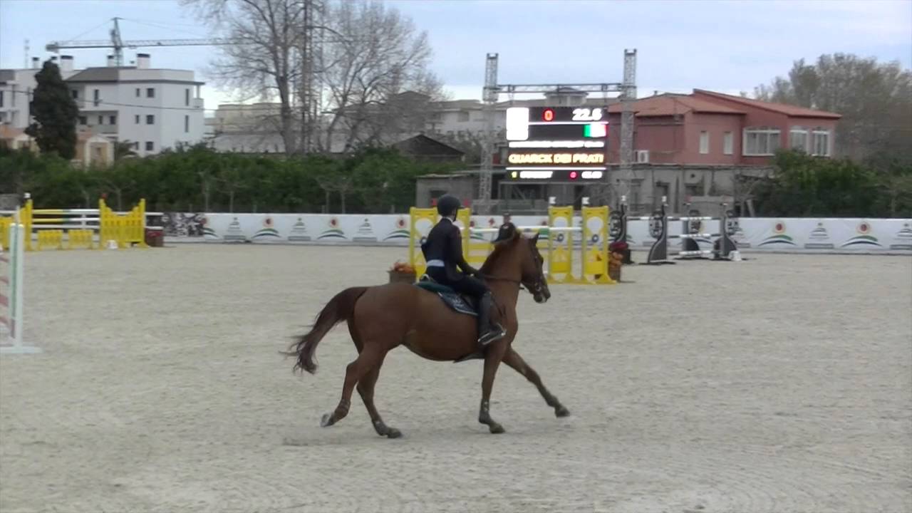 Quark dei Prati - CSI2* Oliva - Gold Tour H140 - 19 Feb