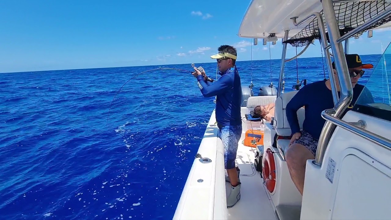 Monster Grouper on Slow Jigging in Brazil