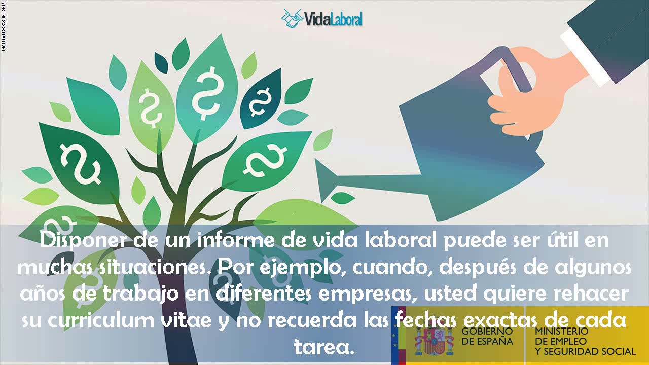Pedir tu informe de Fe de vida laboral al instante