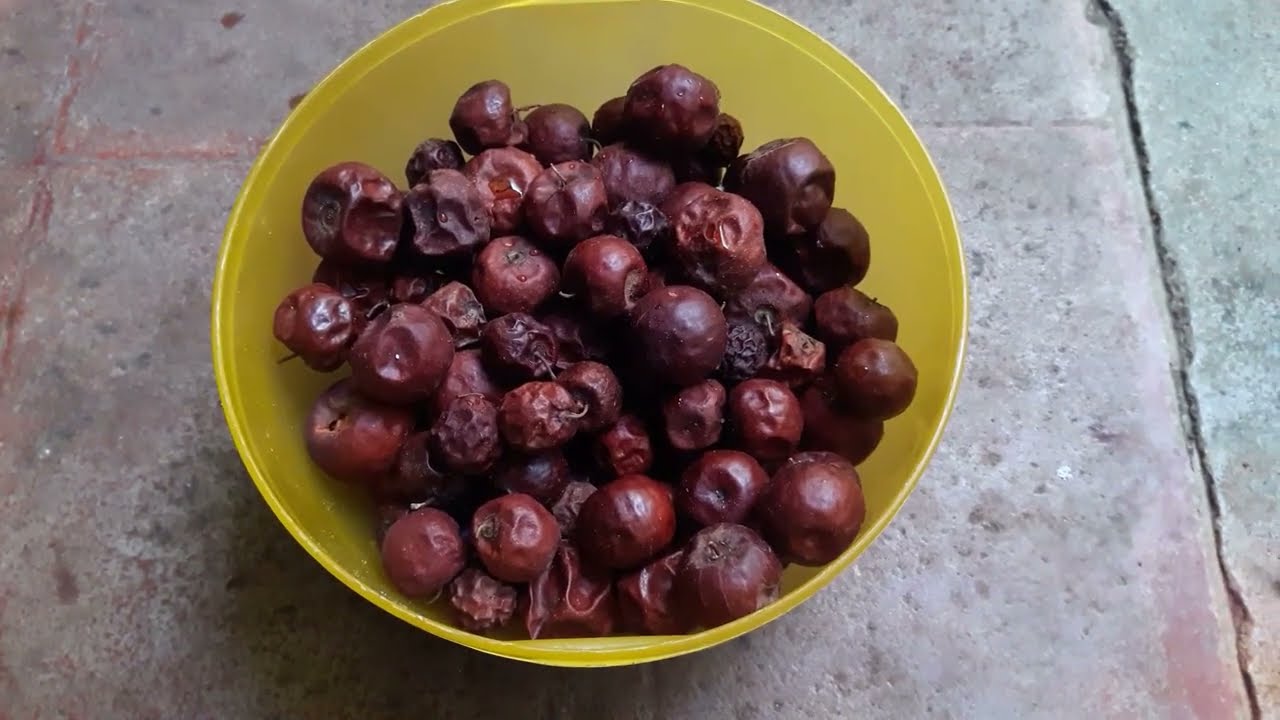 Elantha palam juice in tamil  | jujube juice