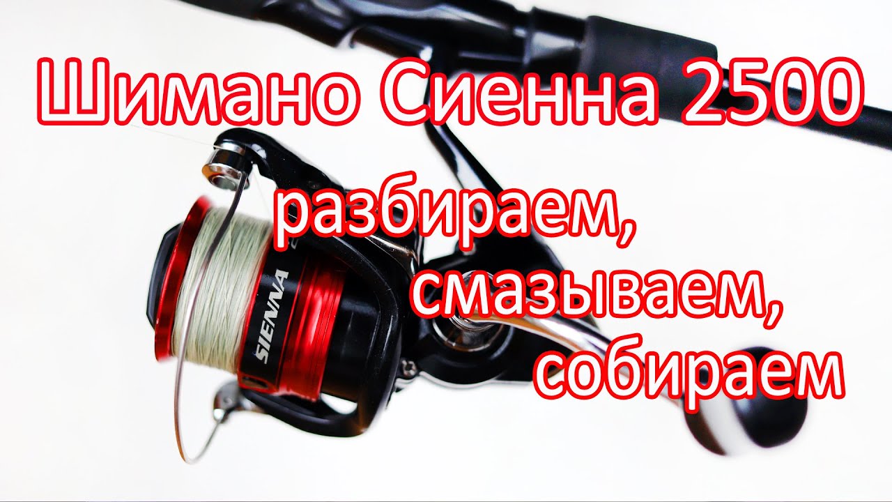 Год назад купил Шимано Сиенна 2500. Пора разобрать и смазать! SHIMANO SIENNA FG 2500