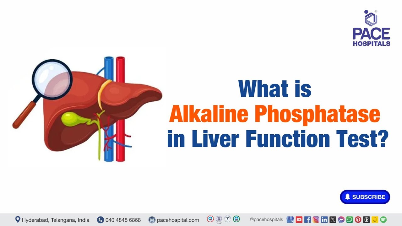 Alkaline Phosphatase | What is Alkaline Phosphatase in Liver Function Test? | #liverfunctiontest