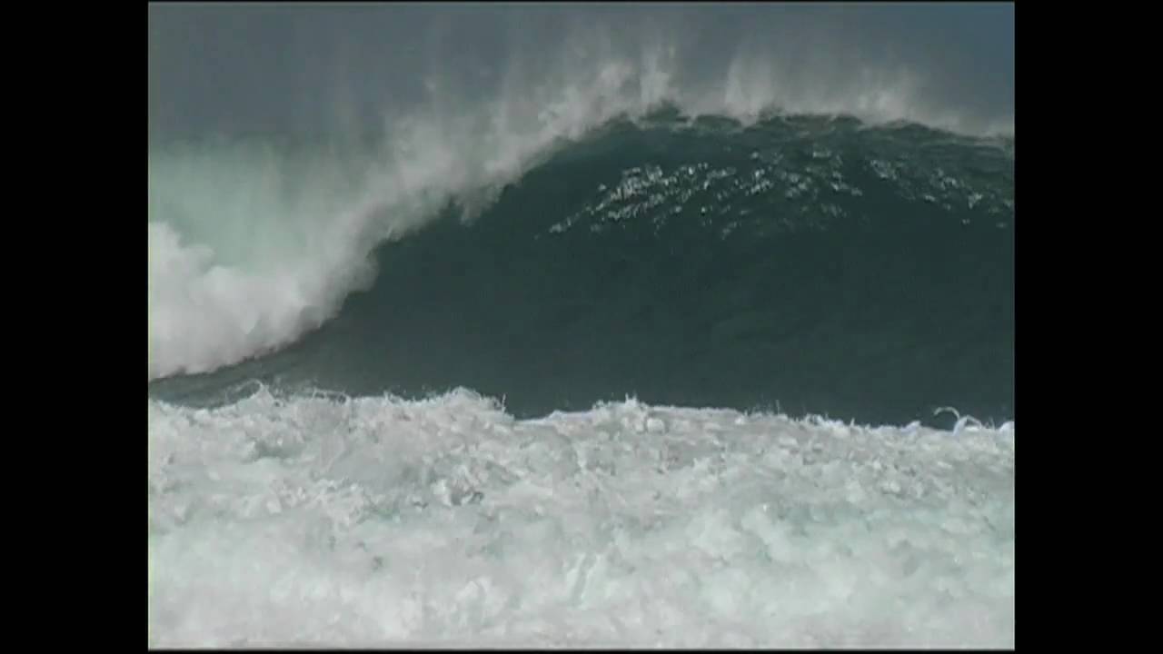 "Free Surfing" from Freedom Riding