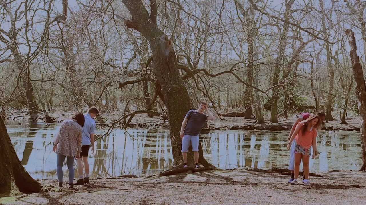 unTitled presents... Old Pine