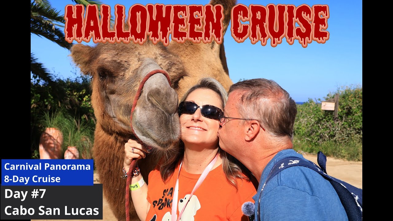 Carnival Panorama Day #7 Cabo San Lucas - Camel Ride, Taquila Tasting, Halloween Contest