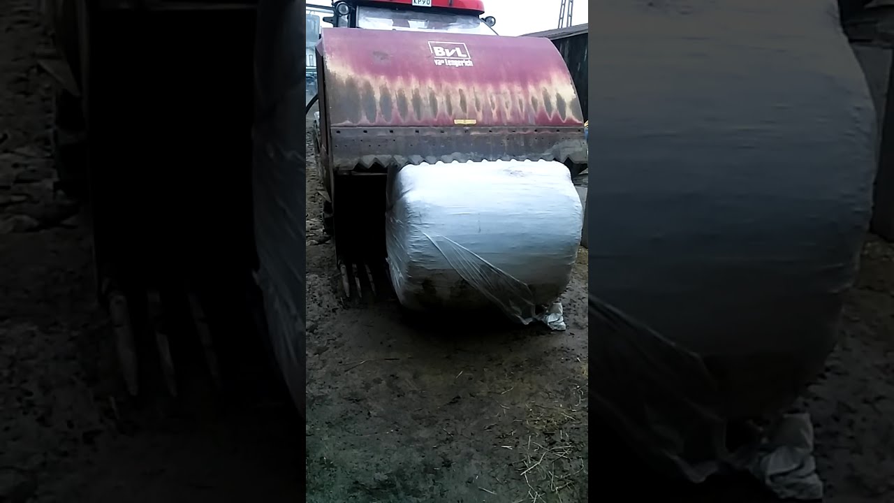 wycinak szczekowy BVL plus zetor major 80 przecinanie balota sianokiszonki