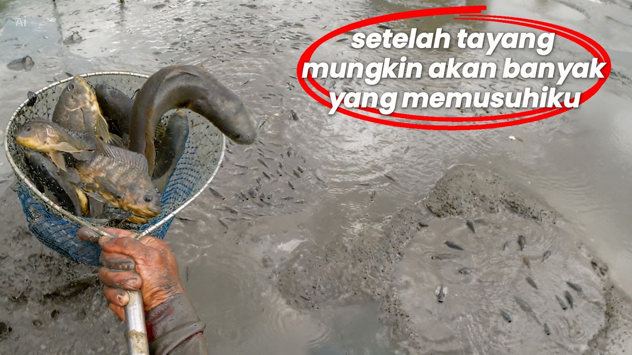 NEKAT! Lakukan Hal Ini Biar Gak Pulang Tangan Kosong Pemilik Tambak Cuma Bisa Diam!DIBIKIN PASRAH