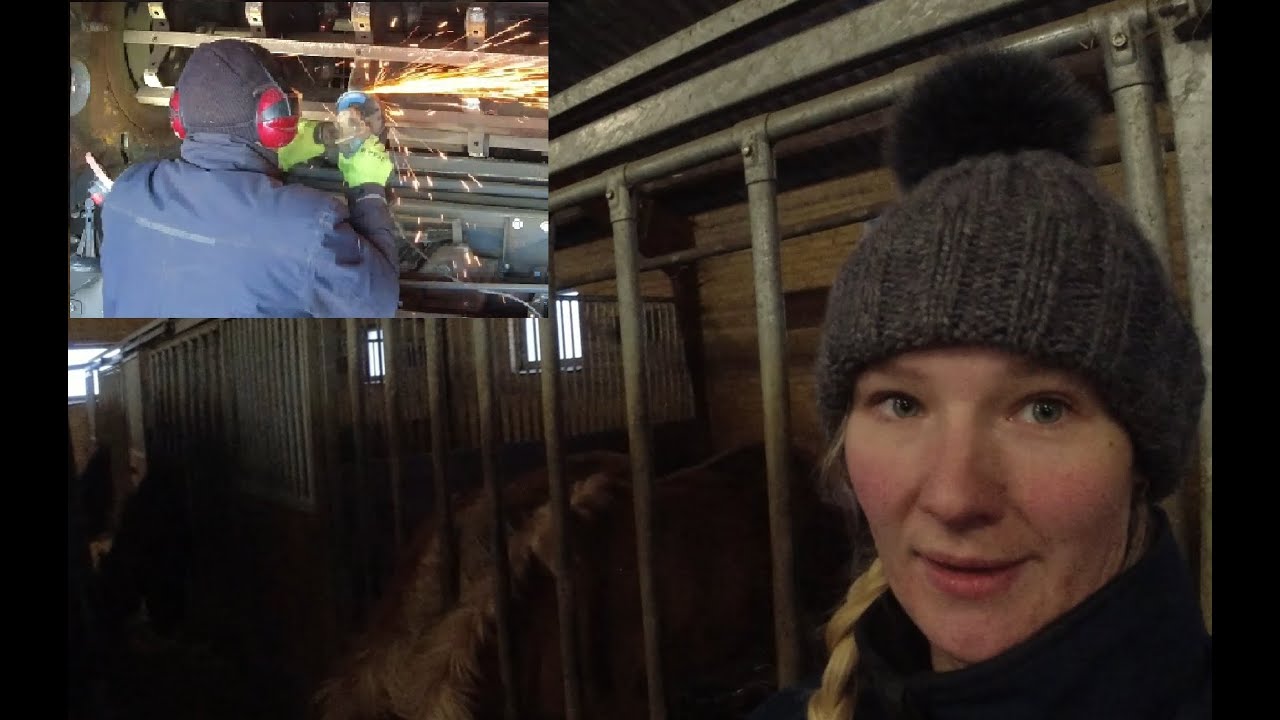 Tilbage i flok - Kenneth putter gummi på - og så siger Kirstine godnat..