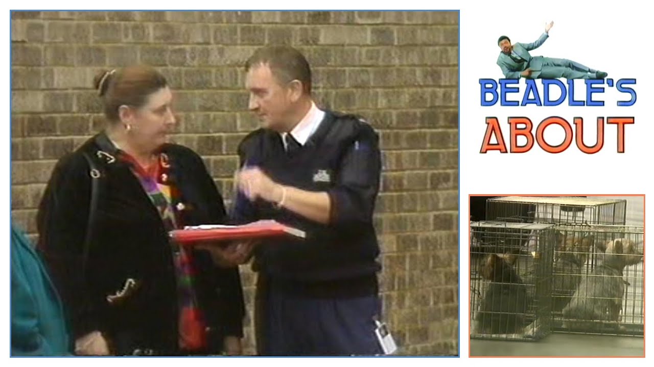 Beadles About: Impounded Dogs