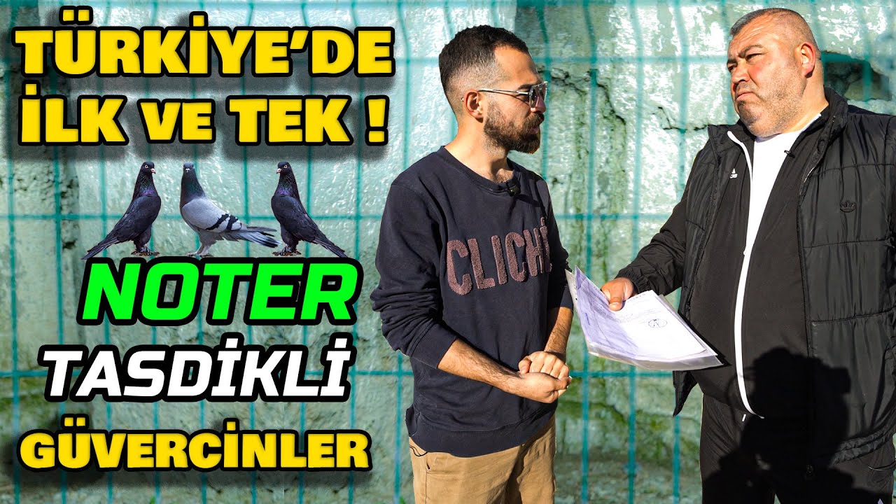 Ünal Aynacıoğlu'nun NOTER ONAYLI Güvercinleri!