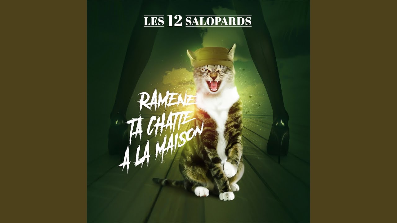 Ramene ta chatte a la maison