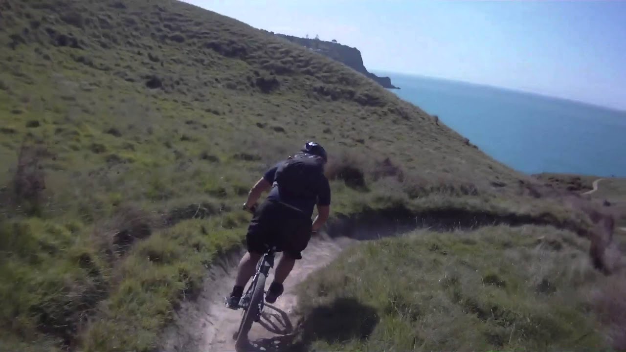 My Fourth Year In New Zealand