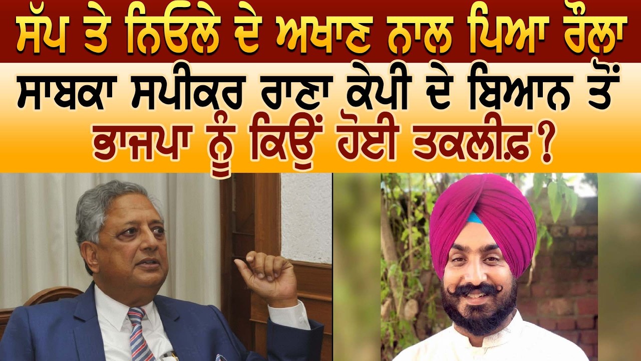 ਸੱਪ ਤੇ ਨਿਓਲੇ ਦੇ ਅਖਾਣ ਨਾਲ ਪਿਆ ਰੌਲਾ ਸਾਬਕਾ ਸਪੀਕਰ ਰਾਣਾ ਕੇਪੀ ਦੇ ਬਿਆਨ ਤੋਂ ਭਾਜਪਾ ਨੂੰ ਕਿਉਂ ਹੋਈ ਤਕਲੀਫ਼ ?