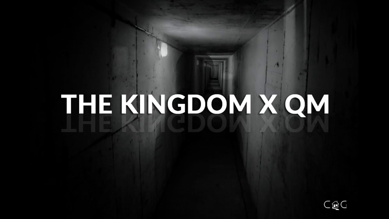 Tribe Nova (feat  QM)  - The Kingdom