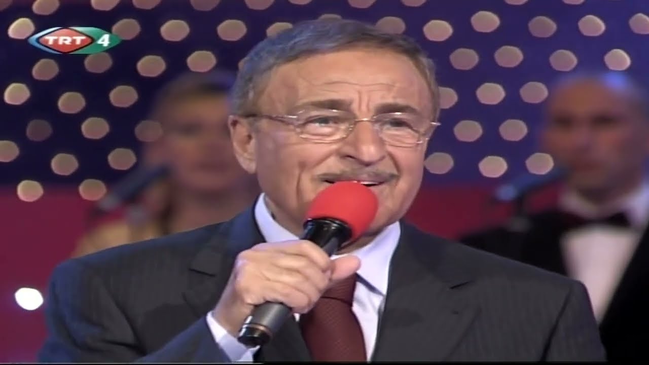 Yaşar &Ouml;zel / Ge&ccedil;sin g&uuml;nler haftalar aylar mevsimler yıllar
