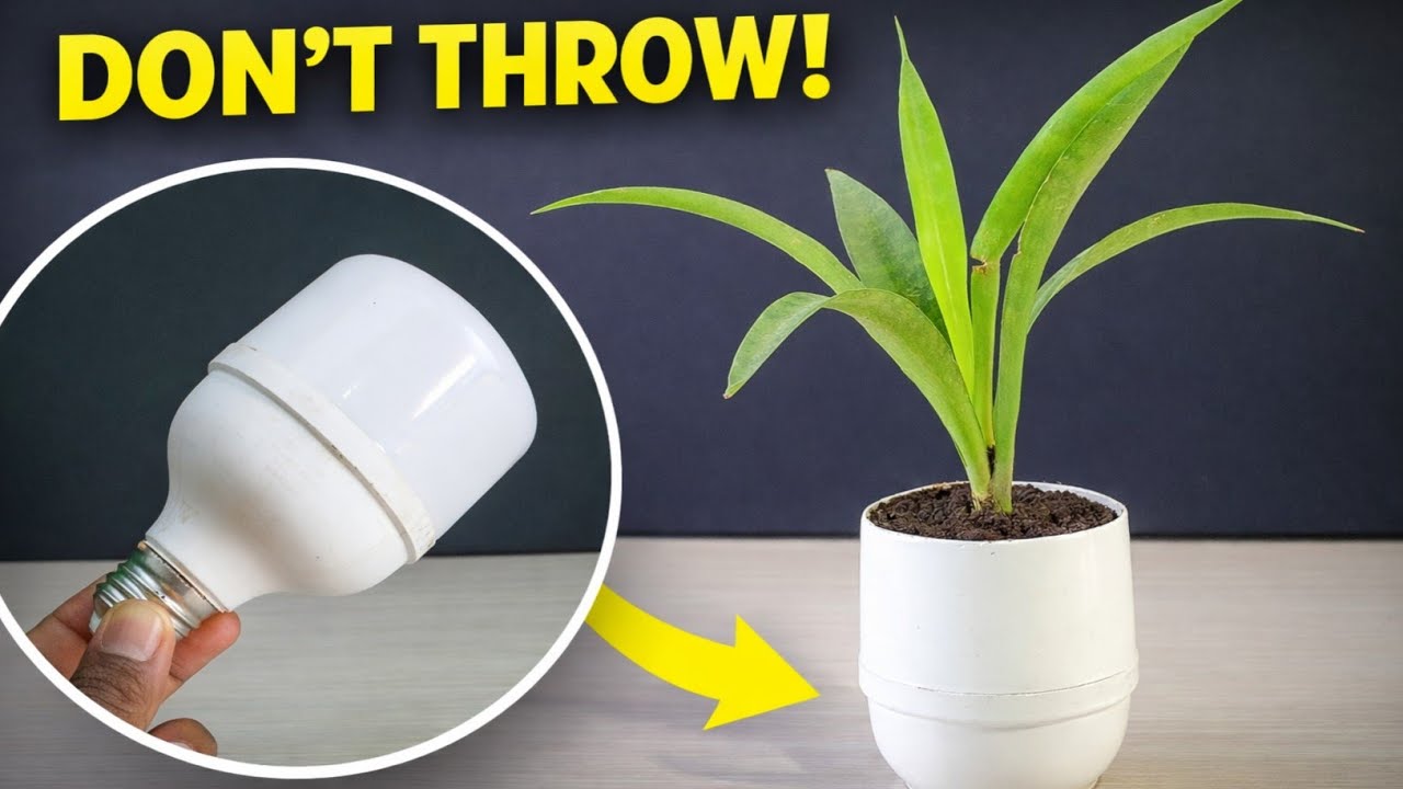 Turn an Old Bulb Into a Beautiful Flower Vase