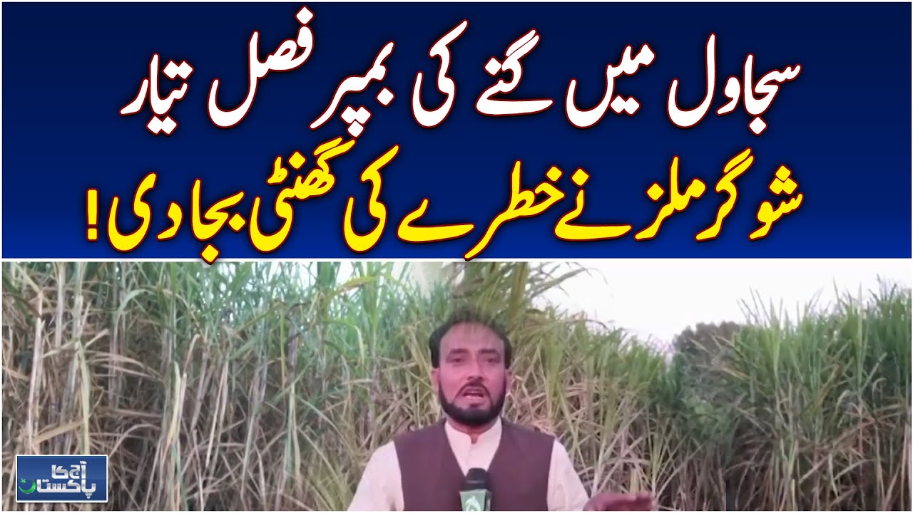 Sugarcane Price Alert | Sindh Sugar Mills Update | Farmers Breaking News &ndash; Aaj Pakistan News
