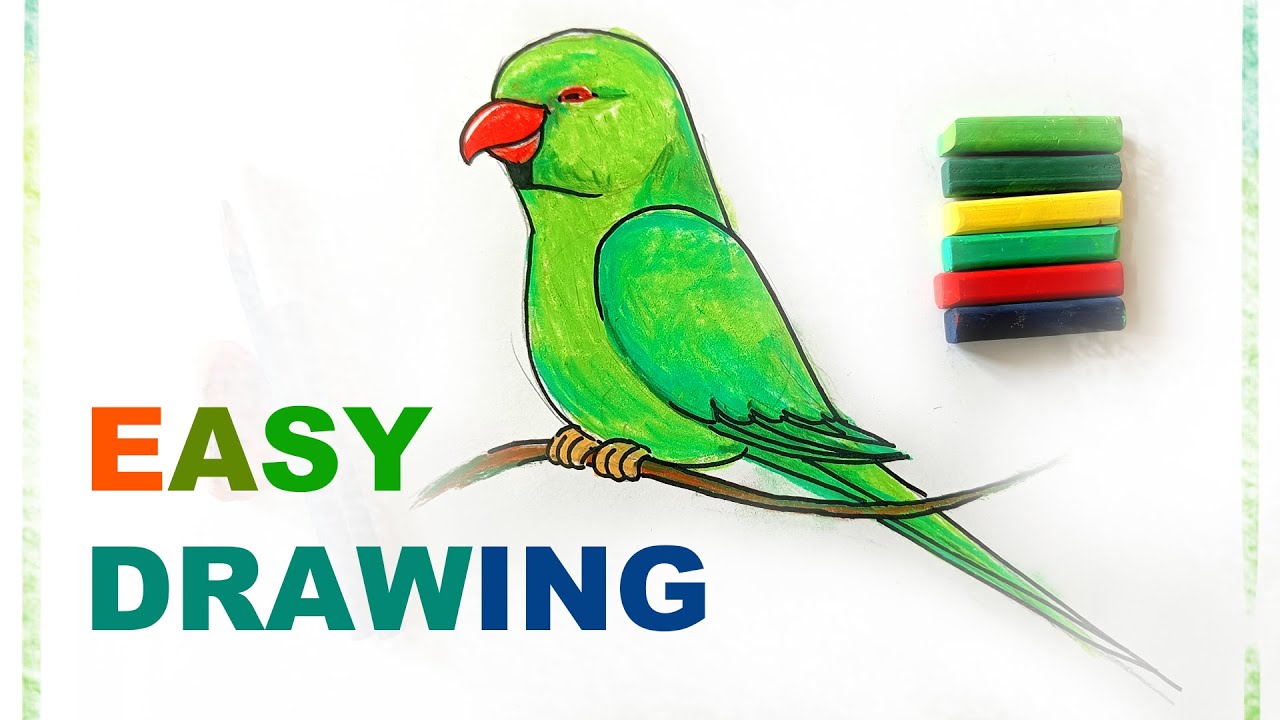 Easy Parrot Drawing & Painting with Soft Pastel | Cute Bird Art for Kids