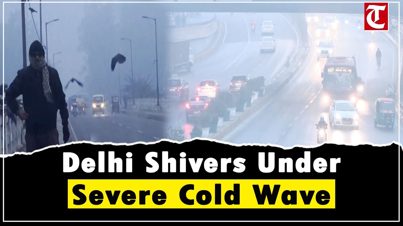 Severe Cold Wave Hits Delhi as Temperatures Dip to 5&deg;C, Dense Fog Disrupts Daily Life