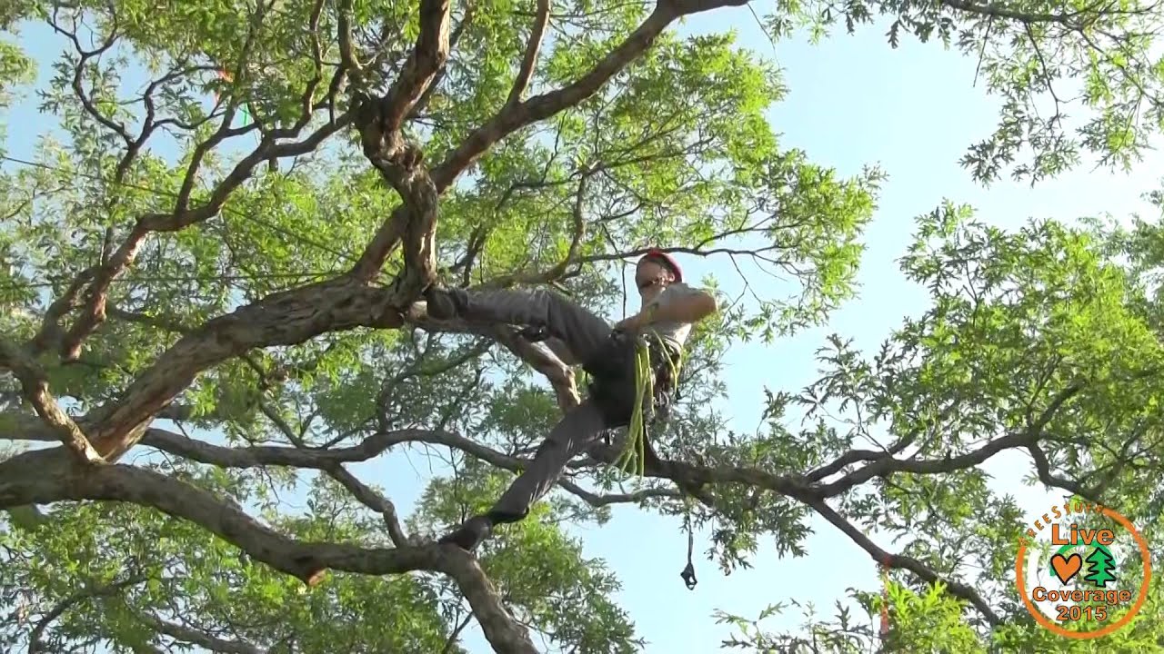 Jambo 2015 Champion Chad Brey - Tree D FULL CLIMB