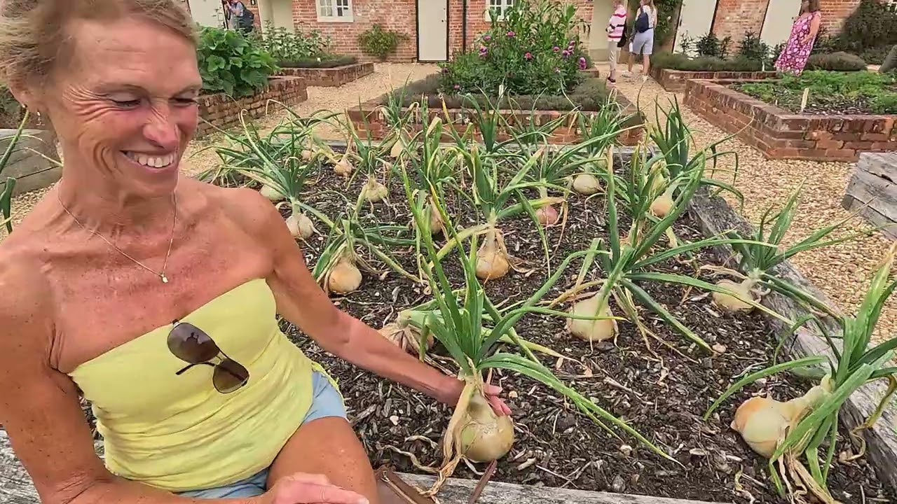 Mottisfont