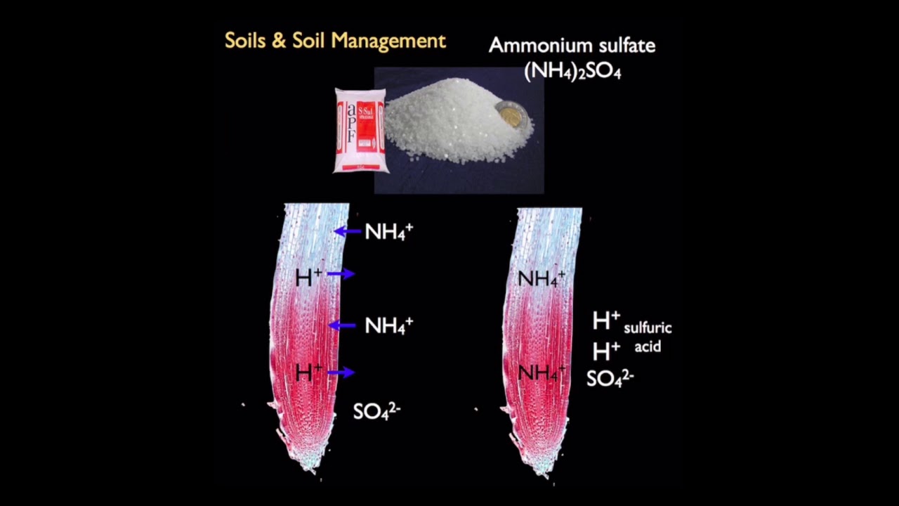 Soil Chemistry P2