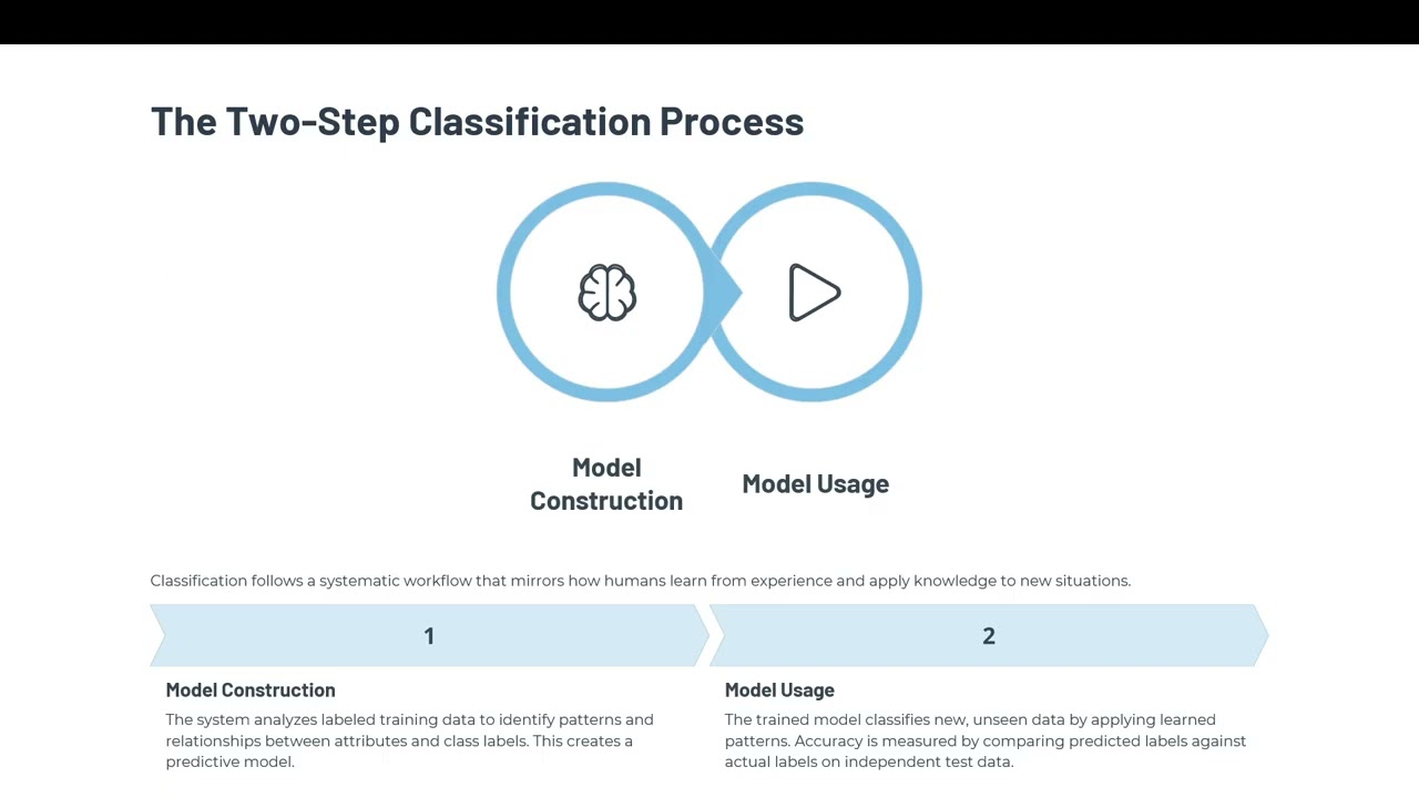13. Classification