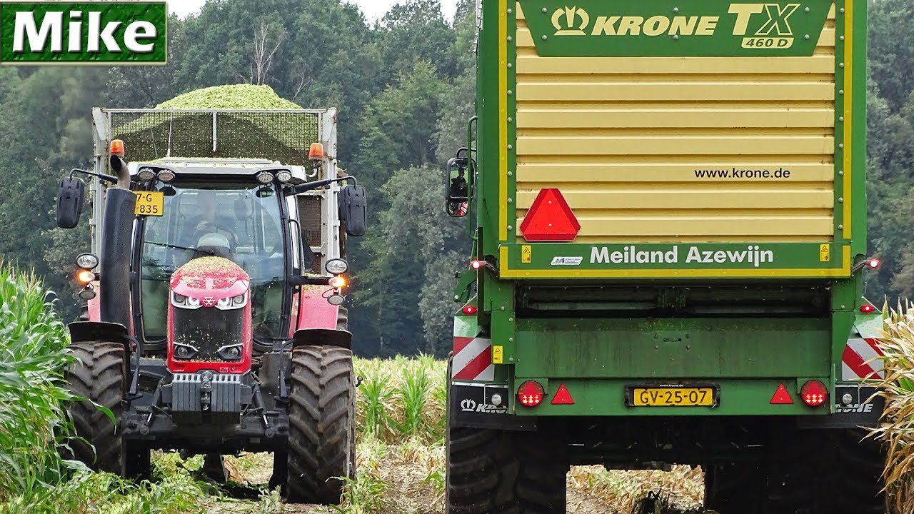 2019 | First Maize Harvesting in NL | Claas Jaguar 870 | Meiland - Azewijn | Massey Ferguson.