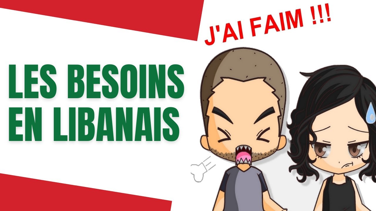 🇱🇧😳 C'est le Minimum à Savoir Dire en Libanais !
