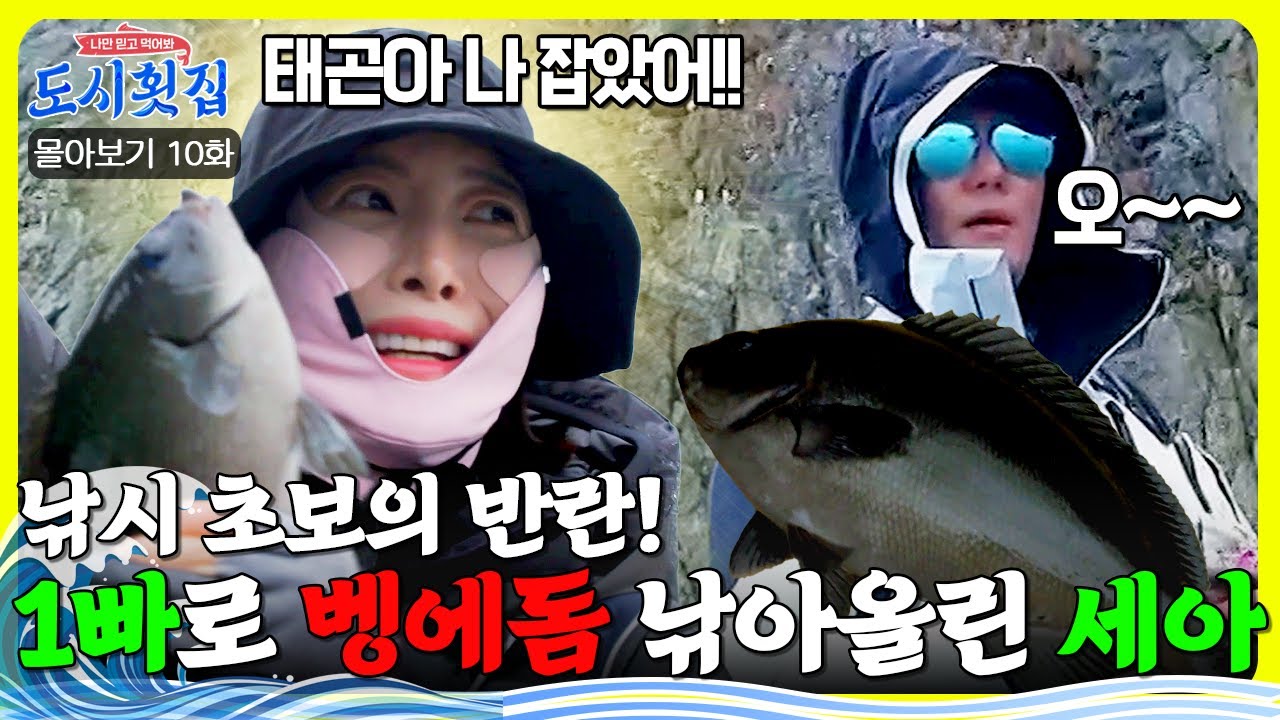 이게 바로 언더독의 반란? 킹태곤보다 빠르게 벵에돔을 낚아올린 낚시초보 윤세아🎣🌟 | 도시횟집 10회