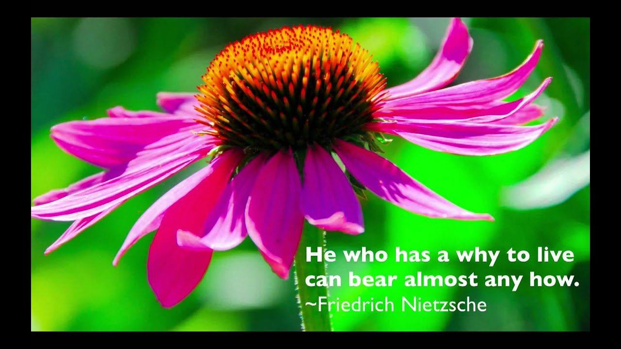 Inspirational Quotes About Life and Success: Words To Live By.