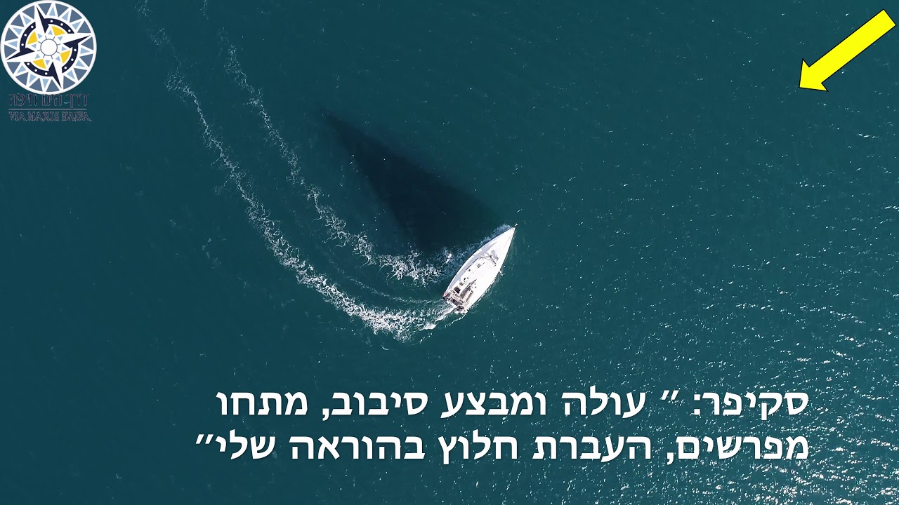 גישה לאדם בים - דרך הים חיפה