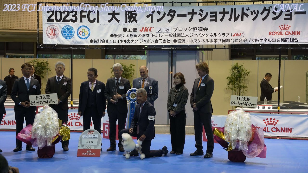 2023 FCI International Dog Show 【FCI大阪インター】