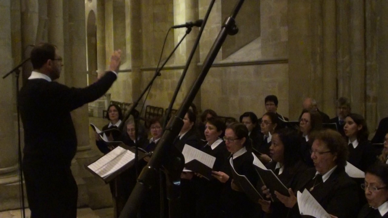 Alleluia - Tonus VI (Polifonia - Massimo Palombella)