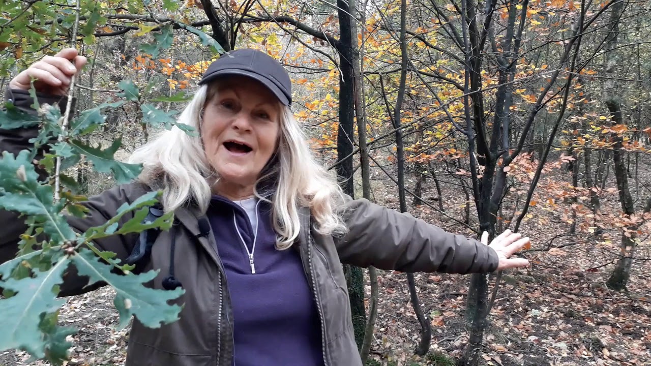 Wandelen met Natuurgids Jeanne Dijkstra