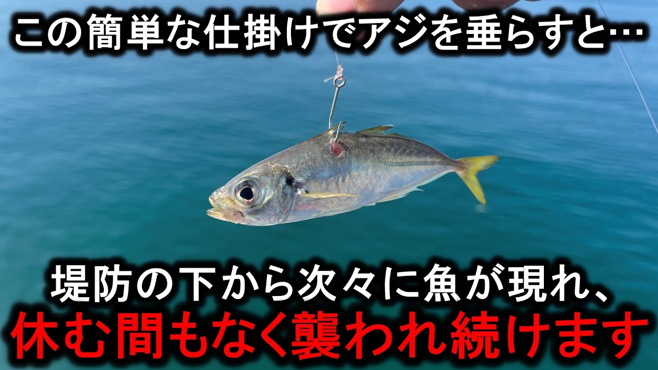 この簡単な仕掛けでダイソーロッドにアジを付けて垂らすと…堤防下から次々に魚が湧いて大変です
