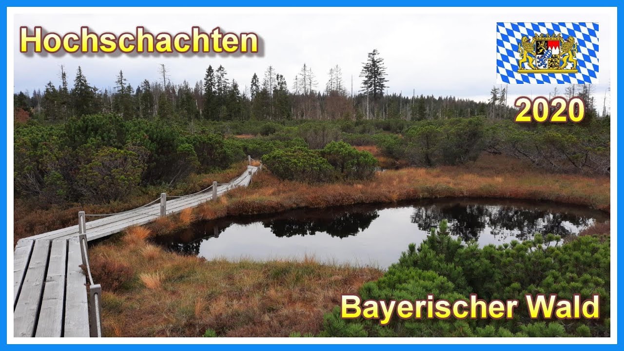 TOP - Wanderung auf die Hochschachten | Bayerischer Wald 2020